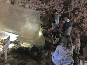 SGH講座「サピエンス学Ⅰ」で沖縄研修旅行を実施しました